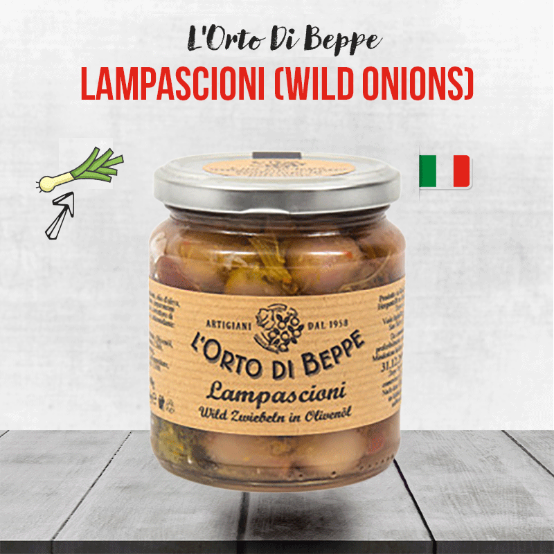 Lampascioni-(Wild-Onions)